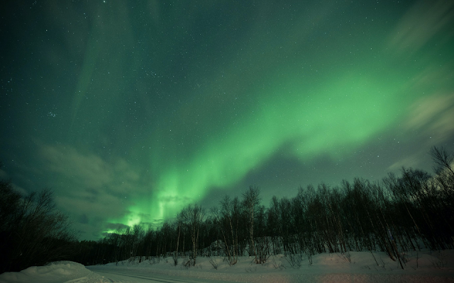 Nordic Aurora