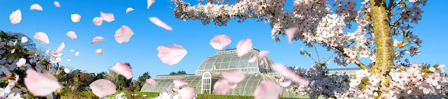 Sounds of Blossom - Kew Gardens & Royal College of Music