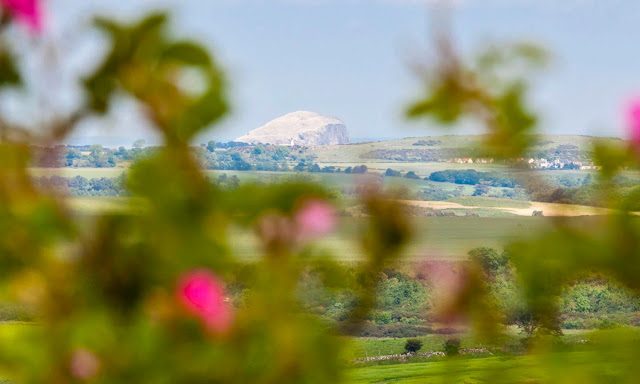 This year's Lammermuir Festival runs from 4 to 15 September 2025