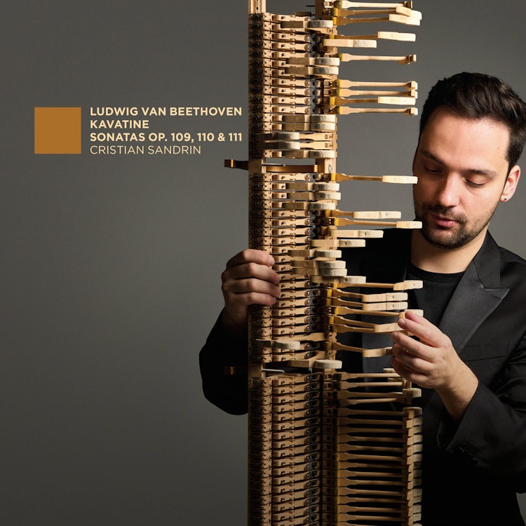 Beethoven's final trilogy of piano sonatas: Cristian Sandrin excels