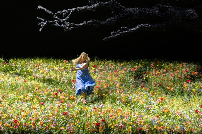 Siegfried at RBO - a (vocal) triumph