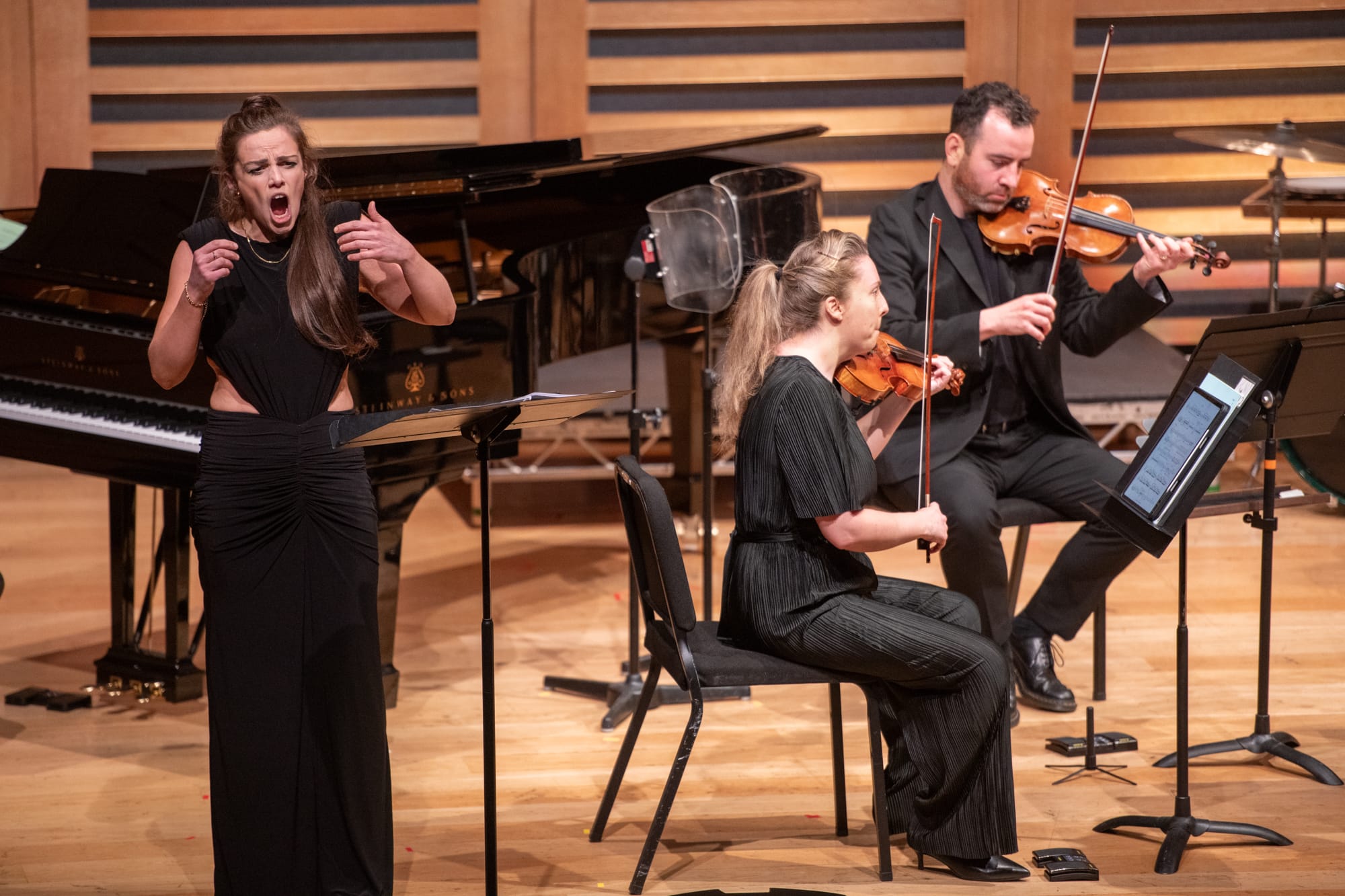 Songs for a Mad King: Manchester Camerata investigates mental health