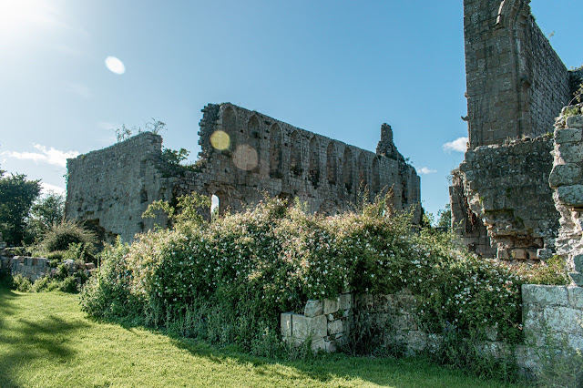 Jervaulx Abbey (Photo: Jervaulx Abbey) Jervaulx Abbey (Photo: Jervaulx Abbey)