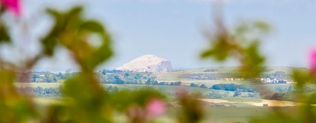 Beautiful music, beautiful places - Lammermuir Festival 2026